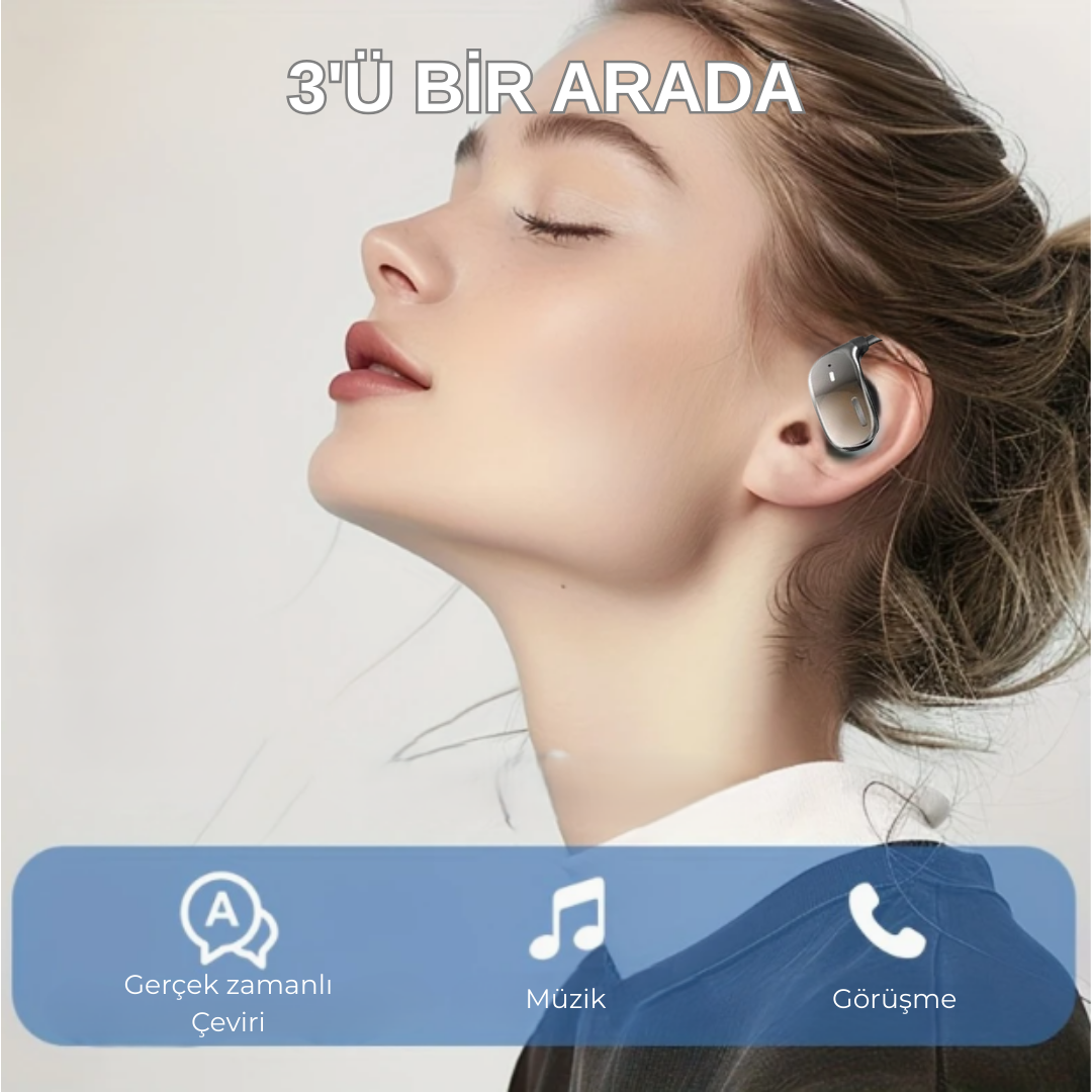 Lingvo™ Anında Çift Yönlü Doğal Akıcı Çeviri